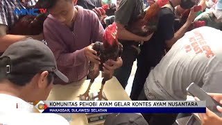 Puluhan Komunitas Pecinta Ayam Jago di Makassar Gelar Kontes Ayam Nusantara #LintasiNewsPagi 11/12