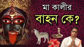 শিয়াল নাকি সাপ মা কালীর আসল বাহন কে | কালী কথা নিয়ে শুনুন বিশেষ পর্ব