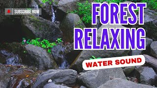 Relaxation || the sound of gurgling river water in nature#relaxation