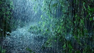 Listen & Sleep Immediately with Heavy Downpour Rain & Massive Thunder Sounds in Rainforest at Night