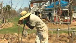 Spring Gardening: Manure