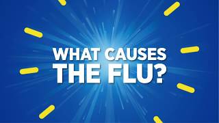 What Causes the Flu? | Theraflu®