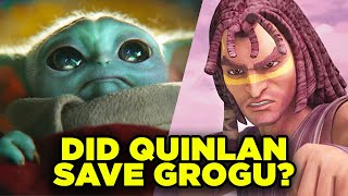 Obi-Wan Kenobi: GROGU Saved by Quinlan Vos?