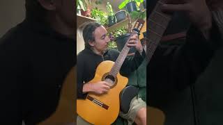 Cancion Del Mariachi from Desperado (Intro) #guitar #song #shortsvideo