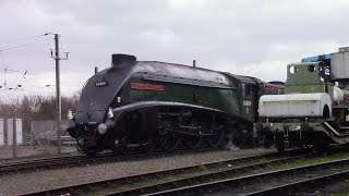 60009 and 70000 at York 07/03/2020 (60009's final mainline run)