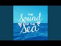 Waves: On the Shore