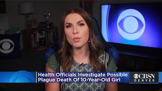 Colorado Health Officials Investigate Possible Plague Death Of 10-Year-Old Girl