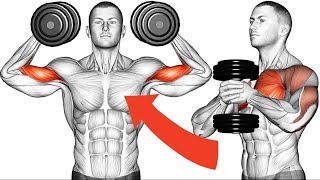 High vs Low Reps Science Based