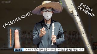 [강좌] ★리코더의 종류 ★ 이런 리코더 본 적 있니?? (8종 리코더 시연)