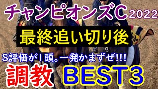 【チャンピオンズカップ2022】調教BEST3　人気も実績もテーオーケインズが断然だが、調教だけならS評価のジュンライトボルトの一発も【調教診断】