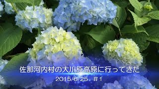 佐那河内村の大川原高原に行ってきた＃１