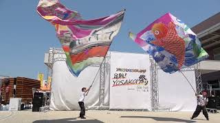 藏っこ 旗の舞／足利！YOSAKOI祭り（2022.5）