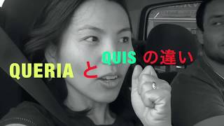 レッスン１４７：queria vs quis/欲しかった、したかった(完全過去と不完全過去って同じ？)