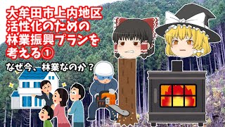 【ゆっくり解説】大牟田市上内地区活性化のための林業振興プランを考える①