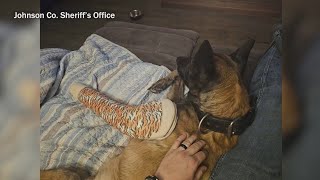 Johnson County Sheriff’s Office says shot K-9 is recovering