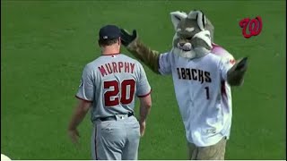 MLB Baxter Mascot Funniest Moments