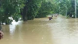 flood situation at Tiyari mairang on 23/8/24