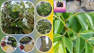 Curry Leaves 🍃 Powder,       கறிவேப்பிலை பொடி.