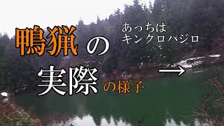 【鴨猟】実際の様子。朝一にマガモ発見！幸先がいいなぁ！…