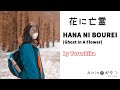 【Airin No Botan】花に亡霊 (Hana ni Bourei - Ghost In A Flower) - ヨルシカ (Yorushika) / You are not alone 👆