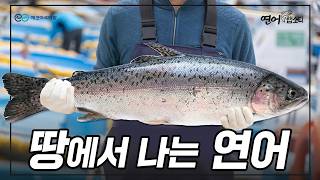 Domestic Salmon in Busan? Discover How Salmon Farming is Possible in Korea | GS E\u0026C, ECO AQUAFARM