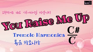 하모니카연주#You Raise  Me  Up (복음C,C#연주) #모든 이들의 소원이 이루어 지길 빌며  #분홍나비하모니카김경희