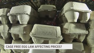 Is Michigan's cage-free egg law affecting prices?