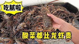 《环球探海记》阿曼 第42天 （下集）：大龙虾的100种做法之（酸菜大龙虾）  #海鲜美食猎奇#阿曼马西拉岛旅行#环球赶海旅行