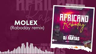 molex raboday 2023 remix (prod.dj fantas)