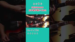 自分革命/SHISHAMOガチ勢が弾いてみた #shishamo #ギター #shorts