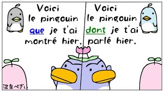 【フランス語】関係代名詞「dont」と「que」の違いと使い分け方【練習問題付き】