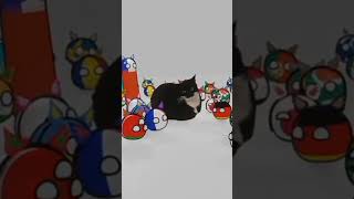 countrybals meet maxwell #countryballs #maxwellthecat