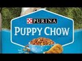 Dog food review of Purina Puppy Chow Complete