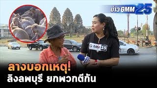 ลิงลพบุรี ยกพวกตีกัน! | ข่าว GMM25