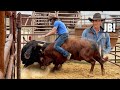 Dale Gets On A BULL At JB Mauneys BuckTown