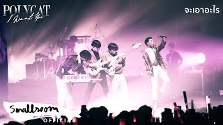 POLYCAT - จะเอาอะไร [I WANT YOU CONCERT]