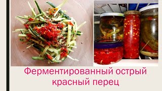 Ферментированный острый перец \\\\ Fermented hot peppers