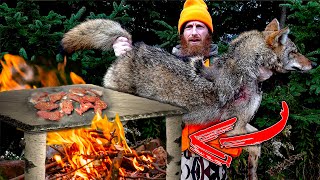 COYOTE Catch, Cook on Primitive Rock!!! (Build Snow Cave Shelter ASMR)