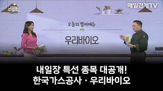 [강현균의 주도락] 내일장 특선 종목 대공개! 한국가스공사 · 우리바이오  | 강현균 MBN골드 매니저