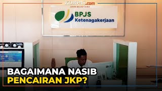 Program JKP Batal Diluncurkan Jokowi hingga Waktu yang Belum Ditentukan