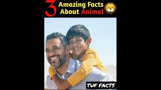 Facts About Animals | Amazing facts | Random Facts #Shorts #Short #youtubeshorts