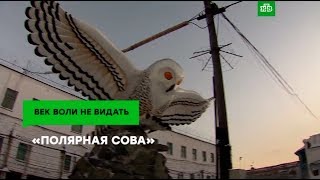 На что обречены пожизненно осужденные