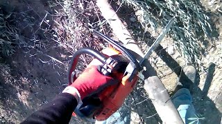 cutting wood with a chainsaw with echo cs-320tes - Chainsaw Cutting Tree Down αλυσοπριονο echo 320