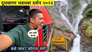 "दूधसागर धबधबा" दर्शन २०२३|Dudhsagar Waterfall 🌴 Train View 🚆|Dudhsagar Full Information Vlog 2023