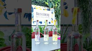 Belvedere Vodka Singalong Social Brunch at Saba