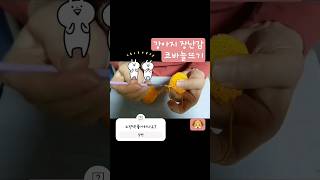 #강아지장난감뜨기 #코바늘뜨기 #장모치와와치즈 #강아지브이로그