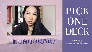 🔮三個月內可以脱單嗎? 💕【塔羅四選一 】Yan Chan @House of Cards