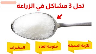 وداعا مشاكل النبات مع ملح ليمون أو حمض الستريك و فوائده الزراعيه citric acid