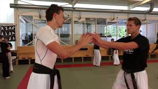 Hapkido Summercamp in Urk (The Netherlands) 2017