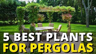5 Best Plants for Pergolas & Trellises | Garden Trends & Ideas 💕